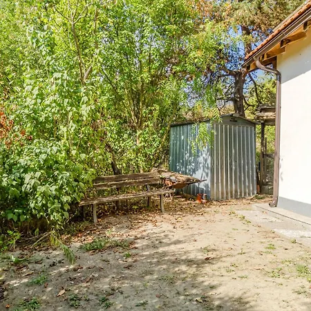 Gorgeous In With Wifi *